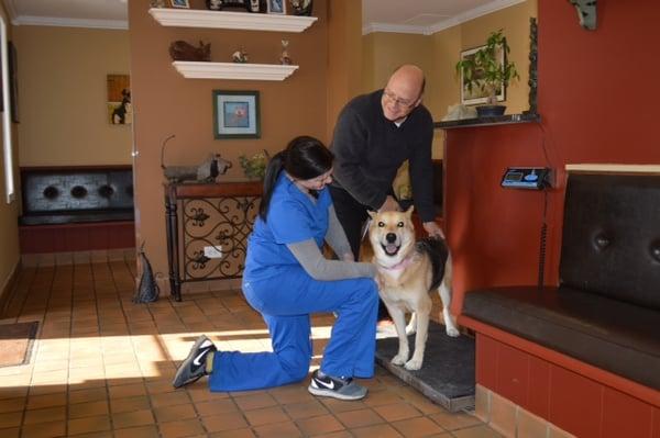 Dominique getting a weight on a patient.