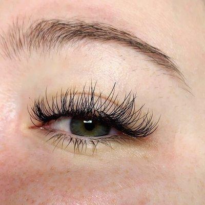 Beaudee Lash Bar