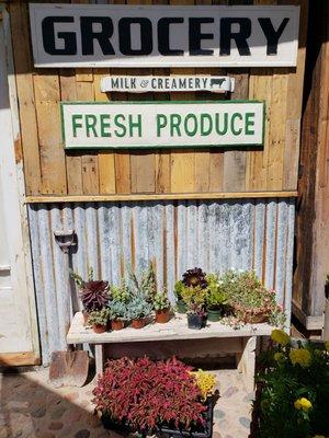 Succulents and cute signs.