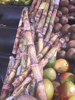 Sugar cane!