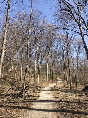 Beautiful hike through the forest. Hilly, but manageable. Trail is kept up well.