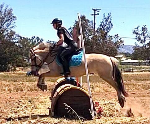 Schooling cross country jumps