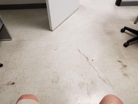 Totally disgusting floors in every patient room I have been in.