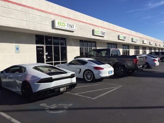 From Lamborghini to Porsche and Ford, Eco-Tint knows their stuff!