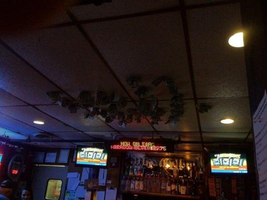 Apparently, money grows from the ceiling here.