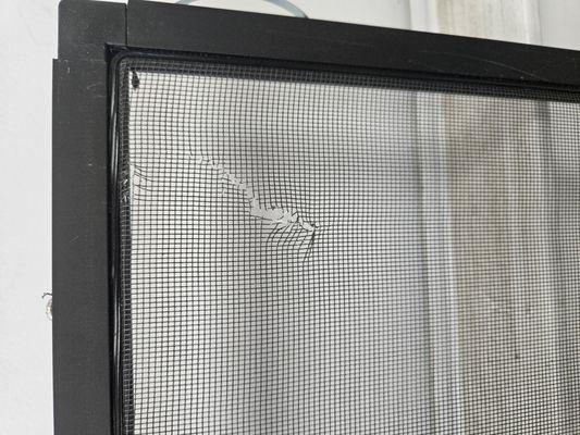 Window Screen repair or replacement!