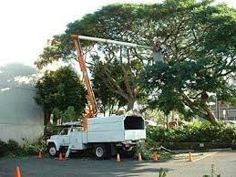 Dave's Tree Service