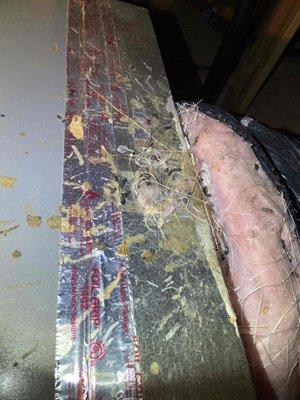 Rat droppings in attic two weeks after "cleanup and sanitization."