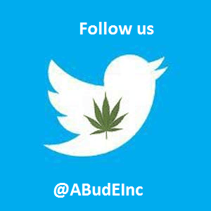 Follow us @ABudEInc