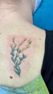 My sagebrush flowers tattoo. Done by Bianca.