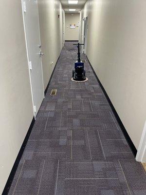 VeriClean Carpet Cleaning