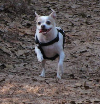 Barton is a patient at Lakeline Animal Care. He looooves it there!