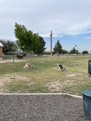 Dog Park