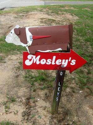 Area landscaping obscures the building, so look for Mosley's distinctive mailbox when heading east on Hwy 98.