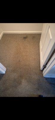 Dirty carpet before....