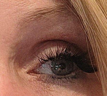 My great lashes