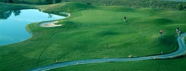 16th Green at Pine Grove