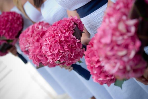 Fuscia Flowers