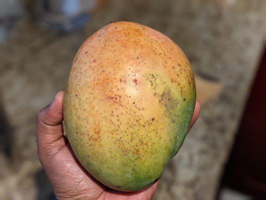 Mangoes