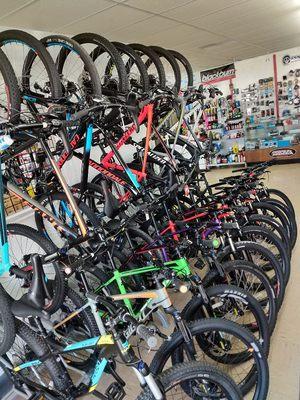 Lots of bikes