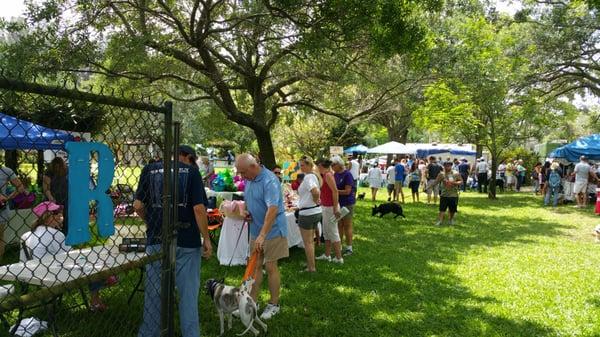 Dr. loeser's backyard fair