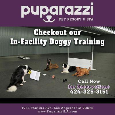 Training at Puparazzi LA