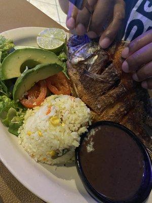 Fried fish , white rice ,side salad