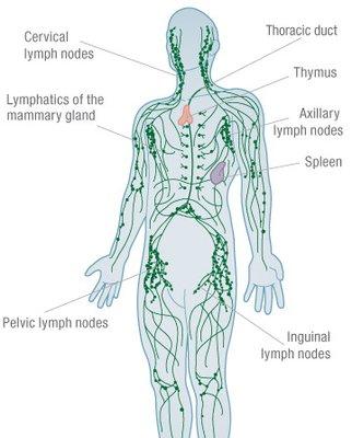 Lymphatic drainage massage