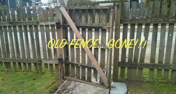 Rain-rotted, broken-down fence no longer an eyesore...it's GONE!   Thanks Z&S!