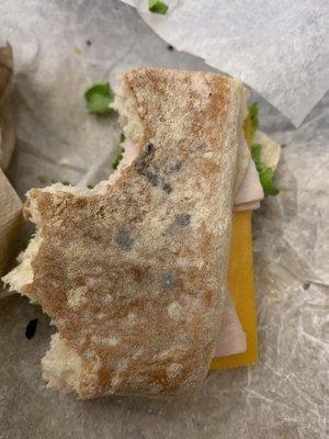 Moldy bread used for sandwich