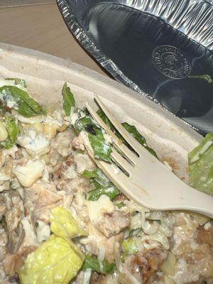 Dead fly in my food.