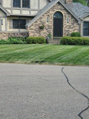 Closer shot of the lawn I mow and trim