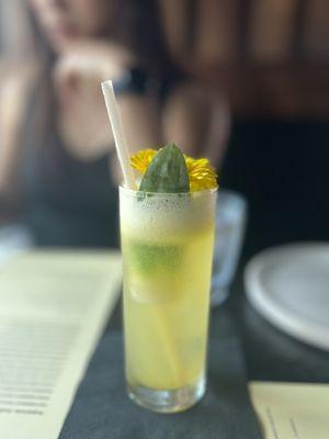 Ninalcoholic drink made with ginger beer - @rayz