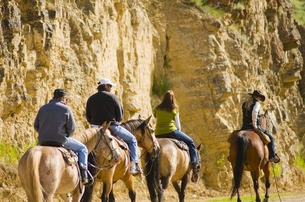 Trail rides every day .