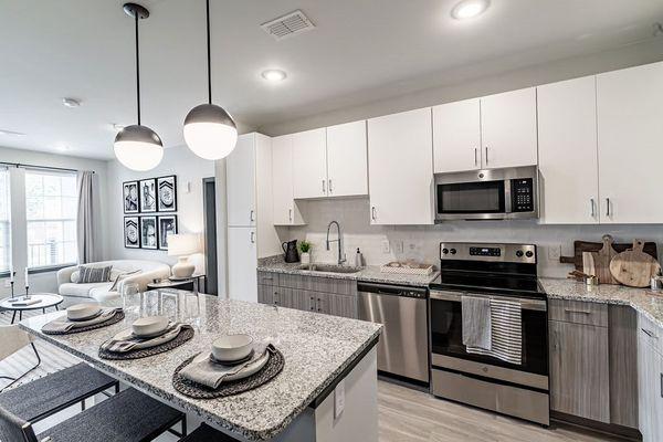 Stainless Steel Appliances at The Louis