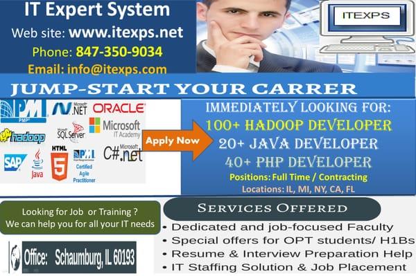 IT Expert System