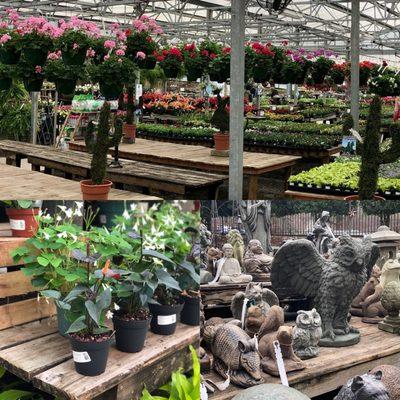 A huge selection of plants and statuary for anywhere in your yard.