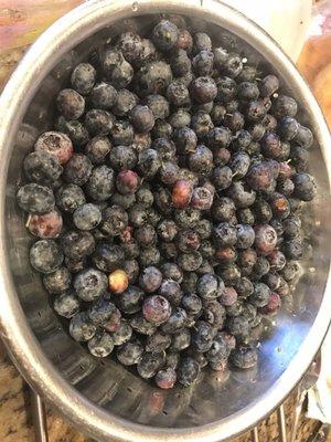 2 lbs of blueberries