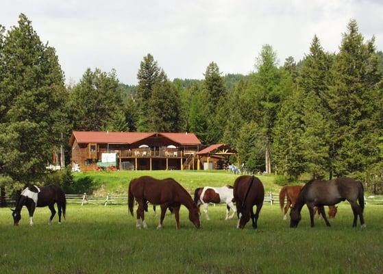 View from Meadows