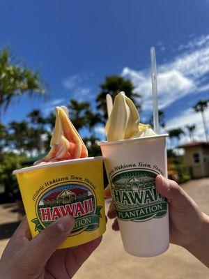 Strawberry dole whip and the float