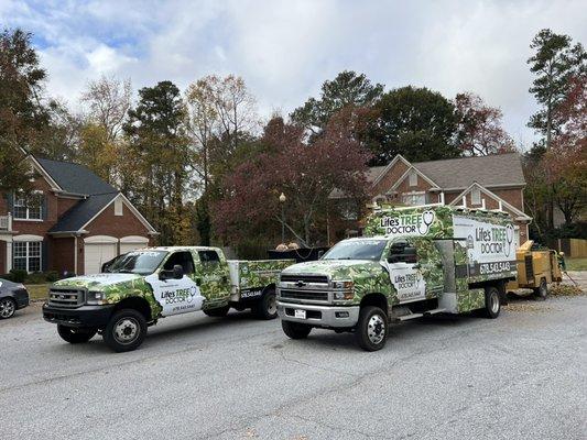 Lifes tree Doctor Atlanta #1 tree service