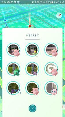 apparently this place is a clefairy nest in pokemon go!