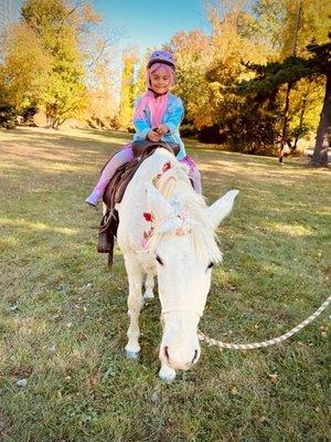 Hogback Mountain Pony Rides