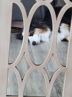 Sorry, taken in a mirror, but you can see my dog's entire head fit under chair.