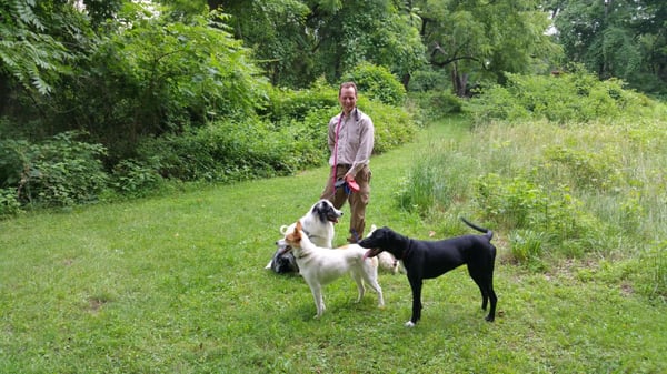 Dog Trainer Derek Cotton on a nature walk with 5 dogs