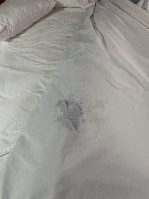 Stained sheets