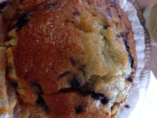 Blueberry muffin