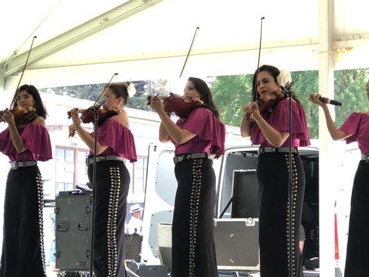 Mariachi Bonitas performance