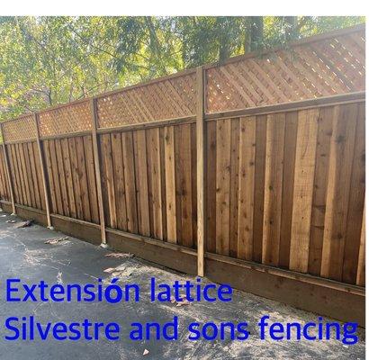 Extension lattice