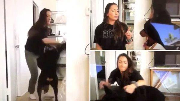 Brooke Houts abusing her dog on video. Search " Brooke Houts" on YouTube.